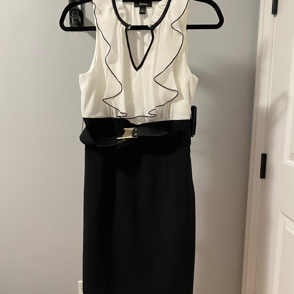 NWT Sleeveless Blouse Dress